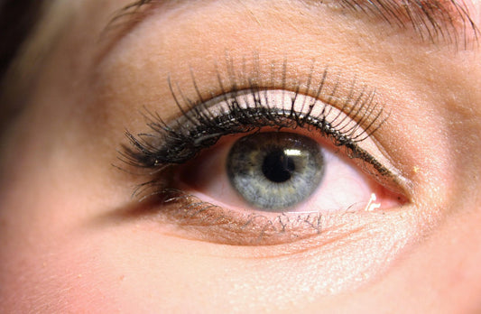 Lashes
